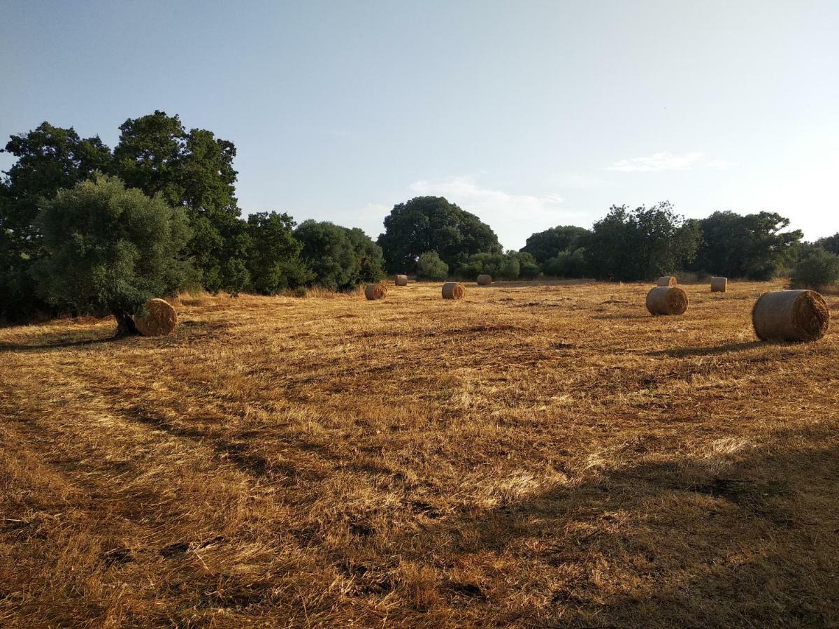 Piccolo Trullo Ostunese Le Jardin De Sophie' Ostuni Bagian luar foto