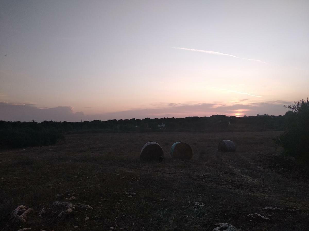 Piccolo Trullo Ostunese Le Jardin De Sophie' Ostuni Bagian luar foto